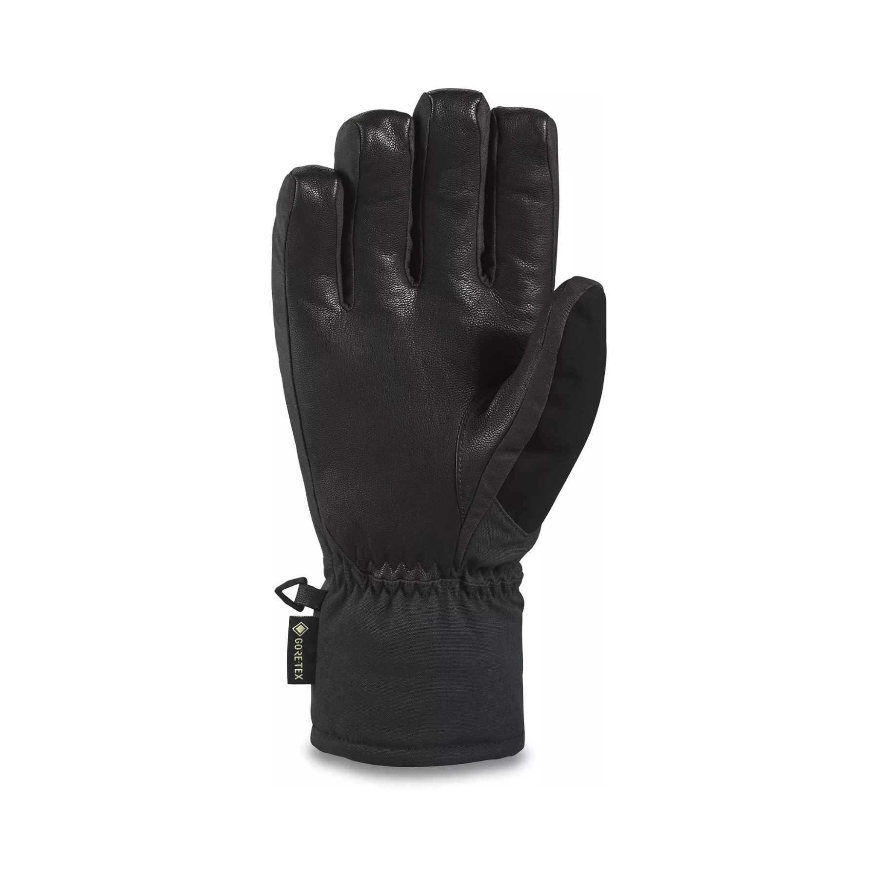 Dakine Titan GORE-TEX Short Glove in Black