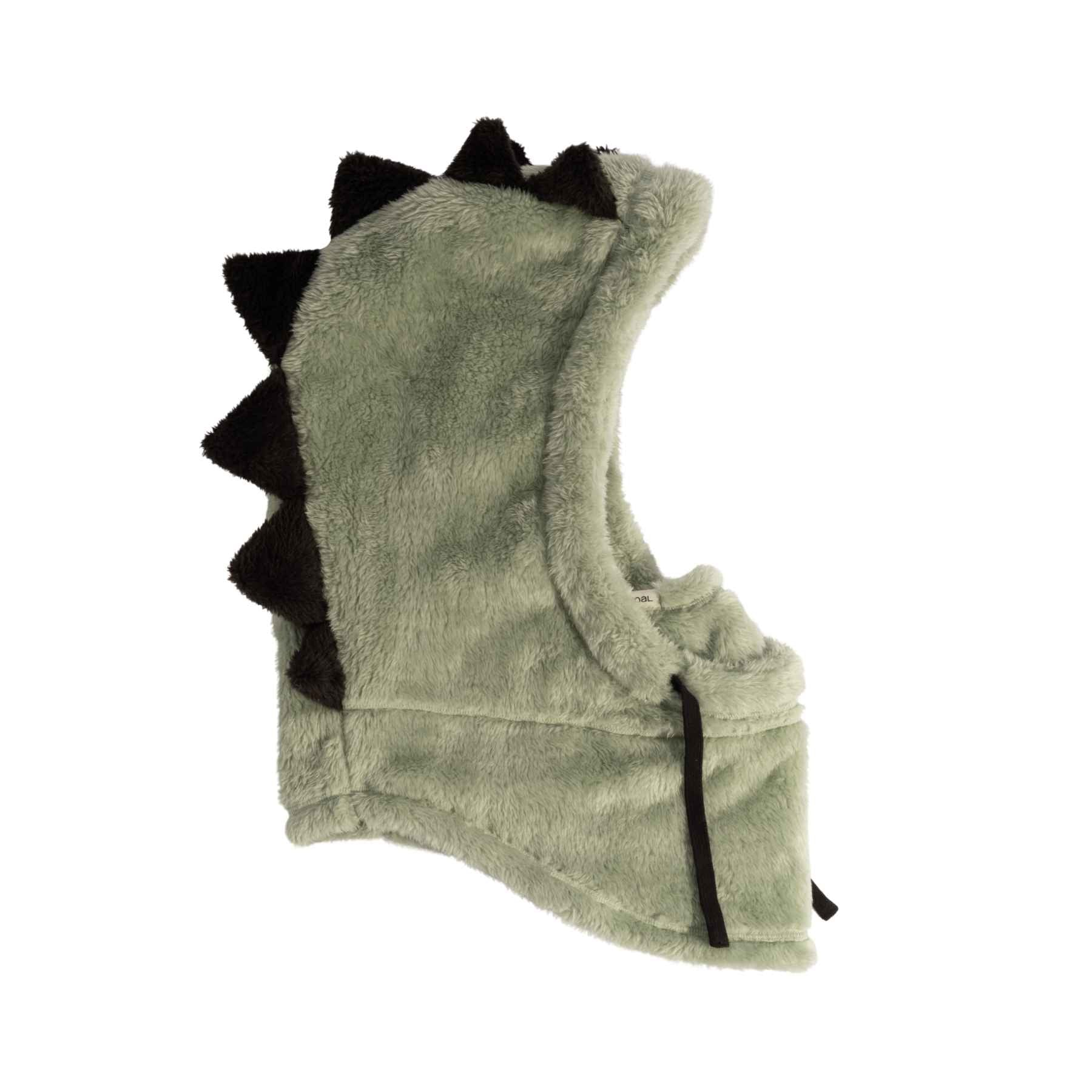 Coal Ridge Hood Kids - Sage Dino