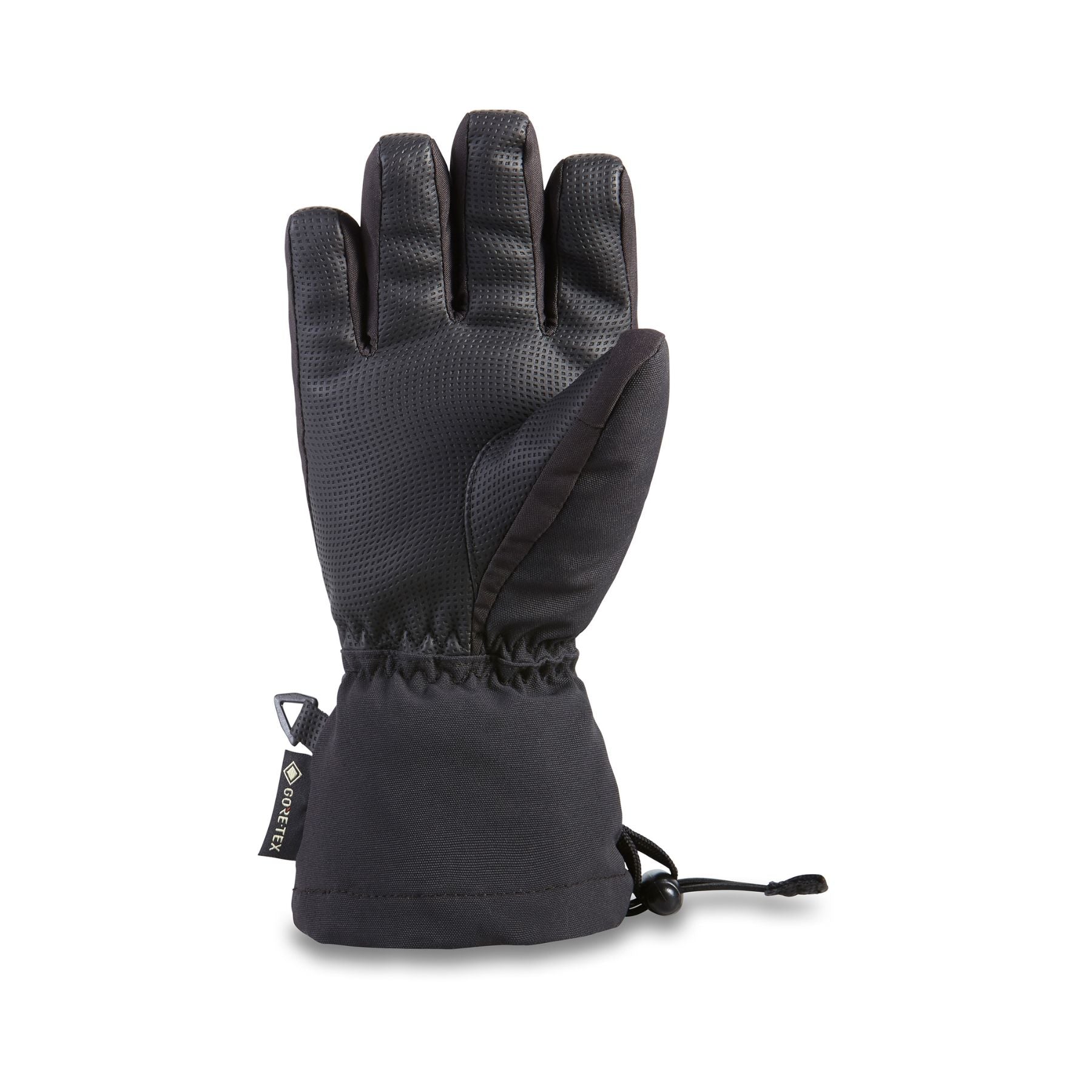 Dakine Avenger Gore-Tex Glove in Black